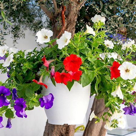 Villa Del Capo Suites Rhodes City Eksteriør bilde