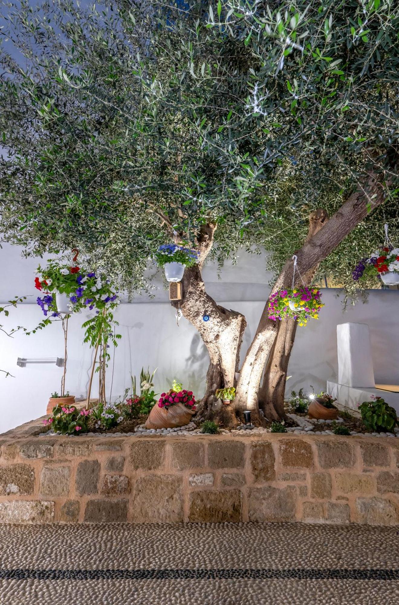 Villa Del Capo Suites Rhodes City Eksteriør bilde