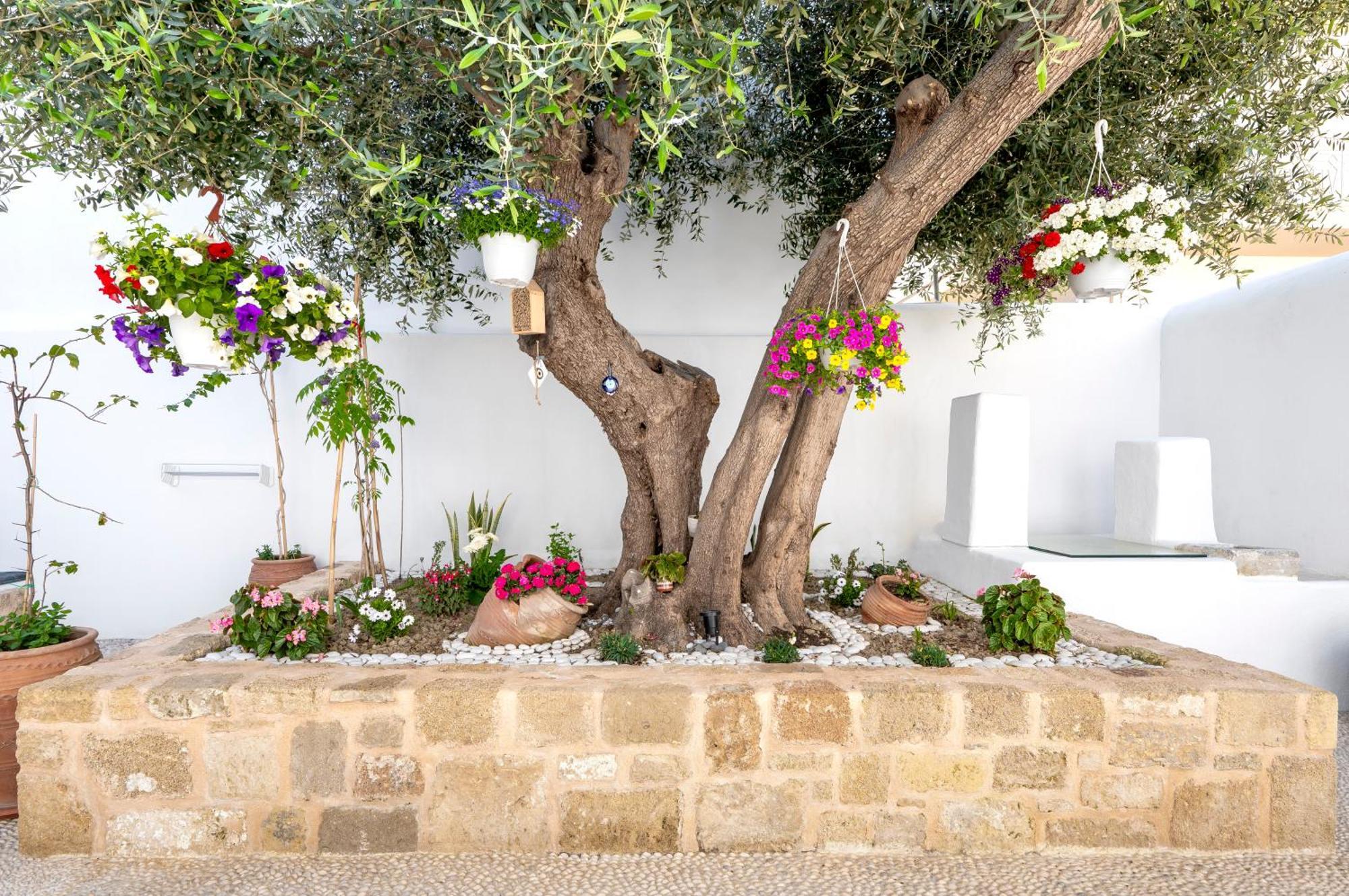 Villa Del Capo Suites Rhodes City Eksteriør bilde